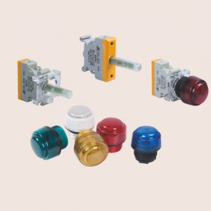 BD8050 Series Indicators