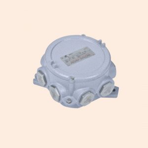 BHD91 Series Explosion-proof Junction Boxes