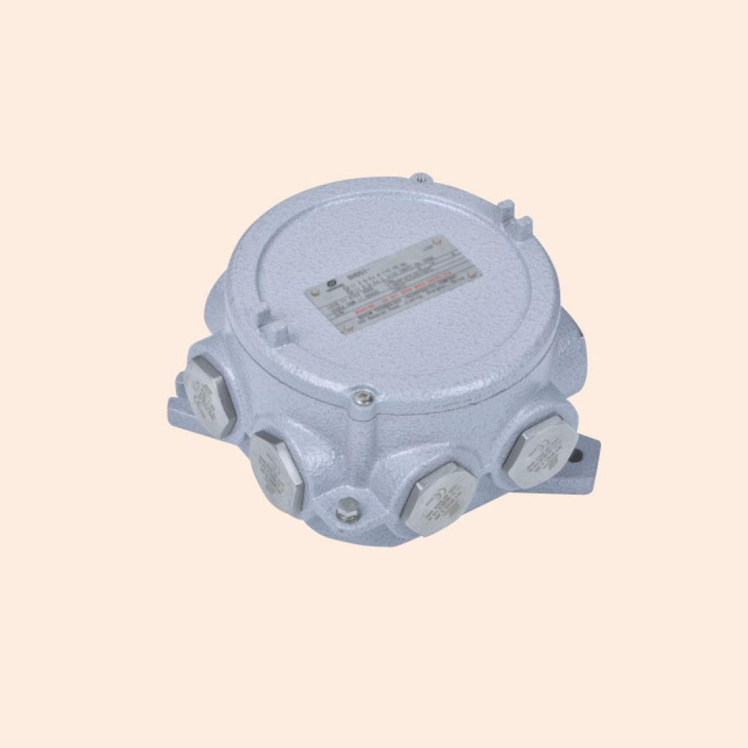BHD91 Series Explosion-proof Junction Boxes