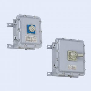BLK Series Explosion-proof Motor Switches (IIB)