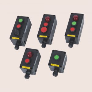 BZA8050 Series Explosion-proof Control Unit Systems