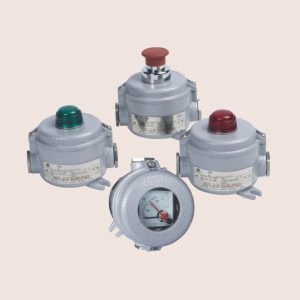 BZA85 Series Explosion-proof Control Unit Systems