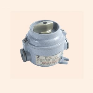 BZM Series Explosion-proof illumination Switches