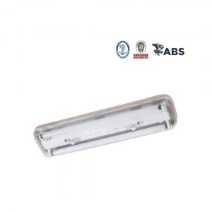 CCY26-2 Fluorescent Pendant Light